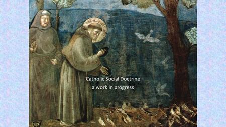 Catholic Social Doctrine a work in progress. welcome and introduction This is the first in a series of Professional Learning activities offered to the.