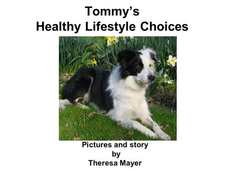 Tommy’s Healthy Lifestyle Choices Pictures and story by Theresa Mayer.