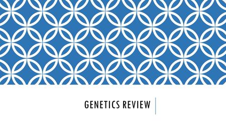 GENETICS REVIEW. What is the vocab word?! The branch of Biology that studies hereditary information and how it is passed on from parent to offspring Genetics.