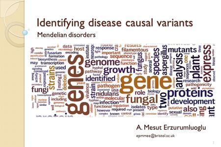 Identifying disease causal variants Mendelian disorders A. Mesut Erzurumluoglu 1.