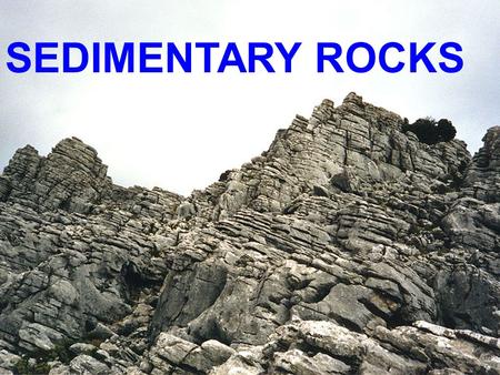 SEDIMENTARY ROCKS.