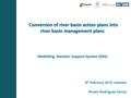 Conversion of river basin action plans into river basin management plans Conversion of river basin action plans into river basin management plans 9 th.