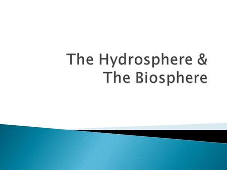  Name the three major processes in the water cycle.  Describe the properties of ocean water.  Describe the two types of ocean currents.  Explain how.