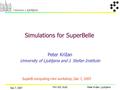 Peter Križan, Ljubljana Dec 7, 2007 Mini WS, SLAC Peter Križan University of Ljubljana and J. Stefan Institute Simulations for SuperBelle SuperB computing.