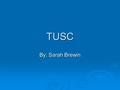 TUSC By: Sarah Brewin. Math Problem The first problem I chose to do for TUSC was: I am a month. I have 28 days in this month. International Friendship.