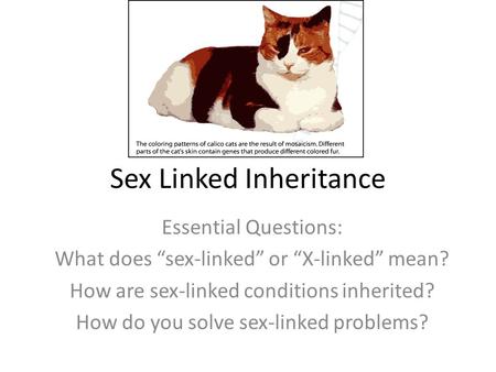 Sex Linked Inheritance