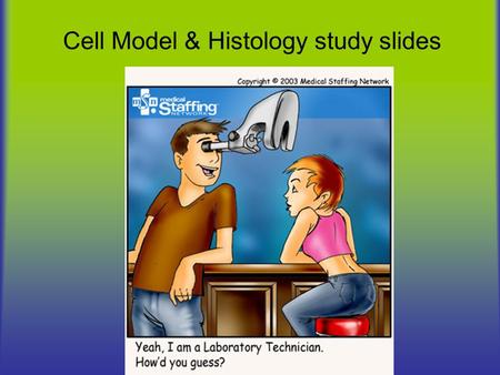 Cell Model & Histology study slides. These slides follow the progression in Study Guide 1. Squamous epithelium (isolated) - flat cells with centrally.