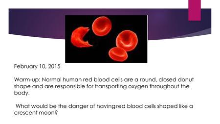 February 10, 2015 Warm-up: Normal human red blood cells are a round, closed donut shape and are responsible for transporting oxygen throughout the body.