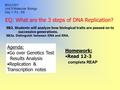 EQ: What are the 3 steps of DNA Replication? Homework: Read 12-3 complete REAP Agenda: Go over Genetics Test Results Analysis Replication & Transcription.