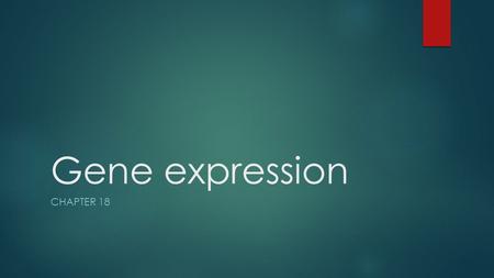 Gene expression CHAPTER 18. Bacterial Gene Regulation  Bacteria regulate transcription based upon environmental conditions  E. coli depends on the eating.