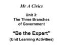 Mr A Civics Unit 3: The Three Branches of Government “Be the Expert” (Unit Learning Activities)