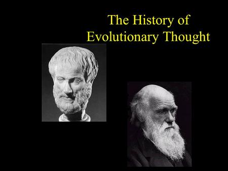 The History of Evolutionary Thought. Aristotle (384-322 B.C.) Ladder of Life »2 types of animals – those w/ blood & those w/o Animals classified by their.