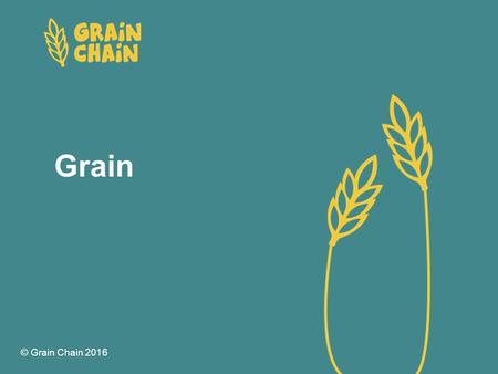 Grain © Grain Chain 2016. Grain Activity session 1 Grain Do you know what each of these grains is called?