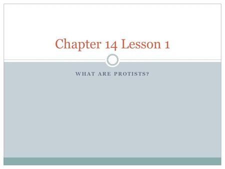 WHAT ARE PROTISTS? Chapter 14 Lesson 1. Essential Questions What are the different types of protists and how do they compare? How are protists beneficial?