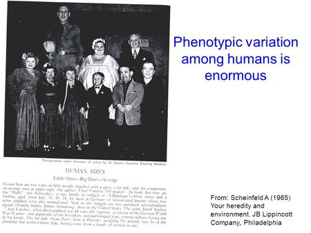 From: Scheinfeld A (1965) Your heredity and environment. JB Lippincott Company, Philadelphia Phenotypic variation among humans is enormous.