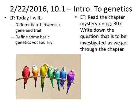 2/22/2016, 10.1 – Intro. To genetics LT: Today I will… – Differentiate between a gene and trait – Define some basic genetics vocabulary ET: Read the chapter.