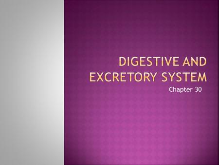 Chapter 30. 4 Kinds of body tissues – Epithelial Tissue: Lines most body surfaces Protects other tissues from dehydration and physical damage. – Nervous.