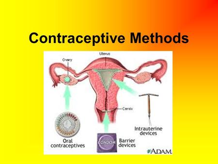 Contraceptive Methods