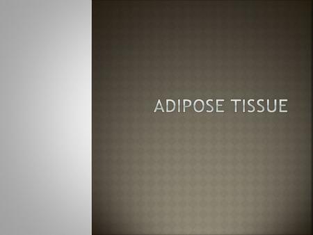  Know the four locations fat is deposited  Explain adipogenesis  Explain lipogenesis  Compare and contrast the different factors affecting lipid metabolism.