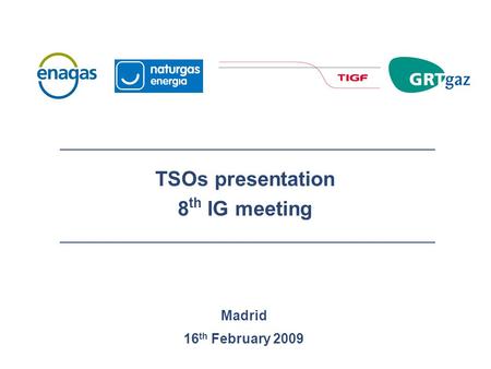 Madrid 16 th February 2009 TSOs presentation 8 th IG meeting.