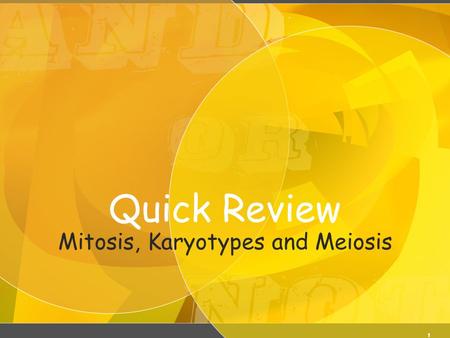 Quick Review Mitosis, Karyotypes and Meiosis 1. Meiosis KM2 Karyotyping.