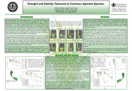 Introduction Methods Results and Discussion Collin Ahrens and Carol Auer Department of Plant Science University of Connecticut Drought and Salinity Tolerance.