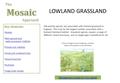 Key elements Shelter Bare ground and early-succession habitats Flower-rich habitats Scrub and scattered trees Sward structure Ecotones Large-scale mosaic.