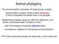 Animal phylogeny The animal kingdom comprises 34 large groups, or phyla - species within a phylum share a basic body plan, or set of characters that allows.