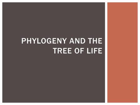 PHYLOGENY AND THE TREE OF LIFE.  Phylogeny is the evolutionary history of a species or a group of species.  To determine how an organism is classified,