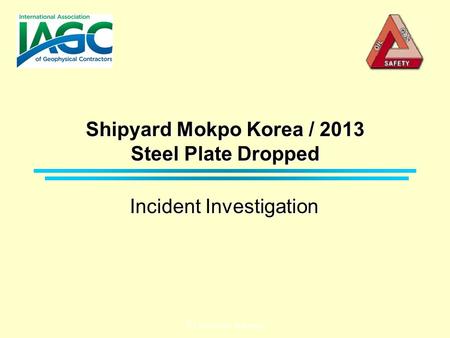 W LTI 1202 208 - Final report Shipyard Mokpo Korea / 2013 Steel Plate Dropped Incident Investigation.