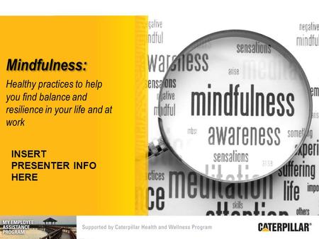 Healthy practices to help you find balance and resilience in your life and at work Mindfulness: INSERT PRESENTER INFO HERE.