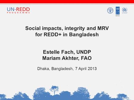 Social impacts, integrity and MRV for REDD+ in Bangladesh Estelle Fach, UNDP Mariam Akhter, FAO Dhaka, Bangladesh, 7 April 2013.