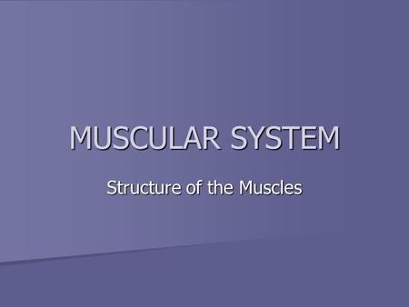 MUSCULAR SYSTEM Structure of the Muscles. Muscles Comprise a large part of the human body Comprise a large part of the human body –Nearly half our body.