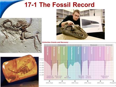 End Show Slide 1 of 40 17-1 The Fossil Record. End Show 17-1 The Fossil Record Slide 2 of 40 Fossils and Ancient Life What is the fossil record?