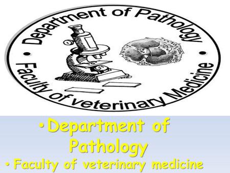 Department of Pathology Department of Pathology Faculty of veterinary medicine Faculty of veterinary medicine.