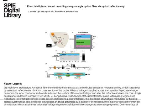 Date of download: 6/1/2016 Copyright © 2016 SPIE. All rights reserved. (a) High-level architecture. An optical fiber inserted into the brain acts as a.