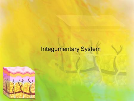 Integumentary System. List at least three situations in which dogs pant. How do humans respond to those same situations? Why do you think dogs pant? Do.