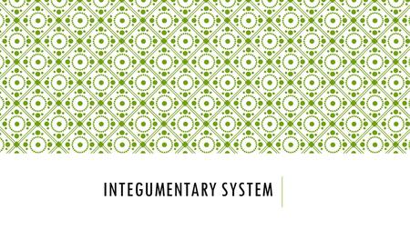 INTEGUMENTARY SYSTEM. INTEGUMENTARY SYSTEM-PART 1 https://www.youtube.com/watch?v=Orumw-PyNjw.