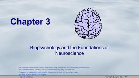 Copyright © Allyn & Bacon 2007 Chapter 3 Biopsychology and the Foundations of Neuroscience This multimedia product and its contents are protected under.