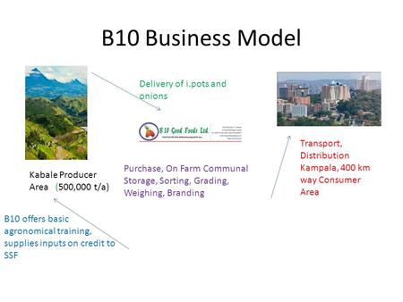 B10 Business Model Kabale Producer Area (500,000 t/a) Transport, Distribution Kampala, 400 km way Consumer Area Purchase, On Farm Communal Storage, Sorting,