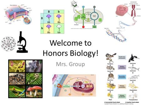 Welcome to Honors Biology! Mrs. Group. What is Biology?