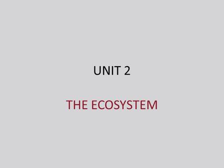 UNIT 2 THE ECOSYSTEM. 2.2 PRINCIPLES OF PYRAMIDS.