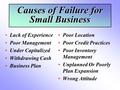 Causes of Failure for Small Business Lack of Experience Poor Management Under Capitalized Withdrawing Cash Business Plan Poor Location Poor Credit Practices.