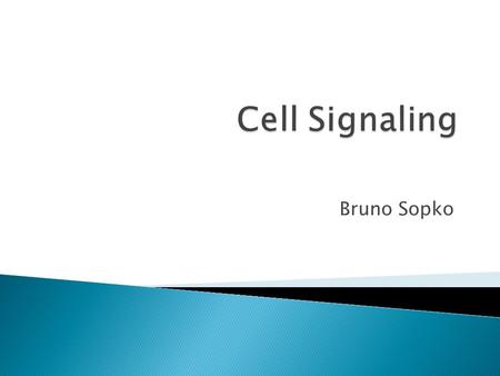 Bruno Sopko.  Signal Transduction Pathways  Organization  Signals  Receptors ◦ Soluble Receptors ◦ Transmembrane Receptors  Enzyme Coupled Receptors.