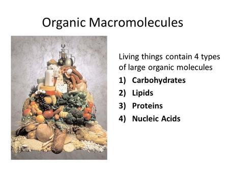 Organic Macromolecules Living things contain 4 types of large organic molecules 1)Carbohydrates 2)Lipids 3)Proteins 4)Nucleic Acids.