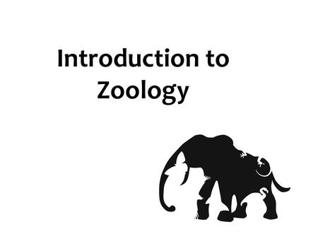 Introduction to Zoology