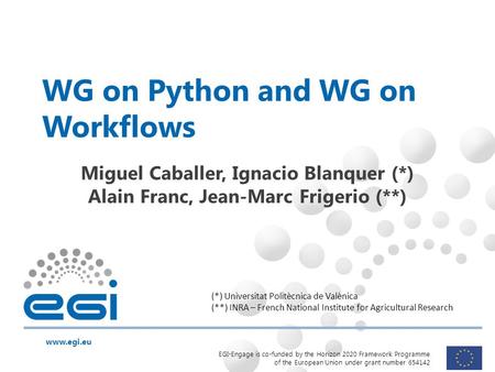 Www.egi.eu EGI-Engage is co-funded by the Horizon 2020 Framework Programme of the European Union under grant number 654142 WG on Python and WG on Workflows.