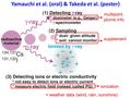 Yamauchi et al. (oral) & Takeda et al. (poster) multipoint, plume info ionization + weather data (wind, rain, sunshine) supplement.