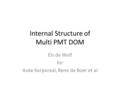 Internal Structure of Multi PMT DOM