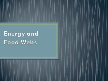 Autotrophs = Producers Use energy from the SUN to MAKE their food Heterotrophs = Consumers Organisms that do NOT make their own food (must consume other.